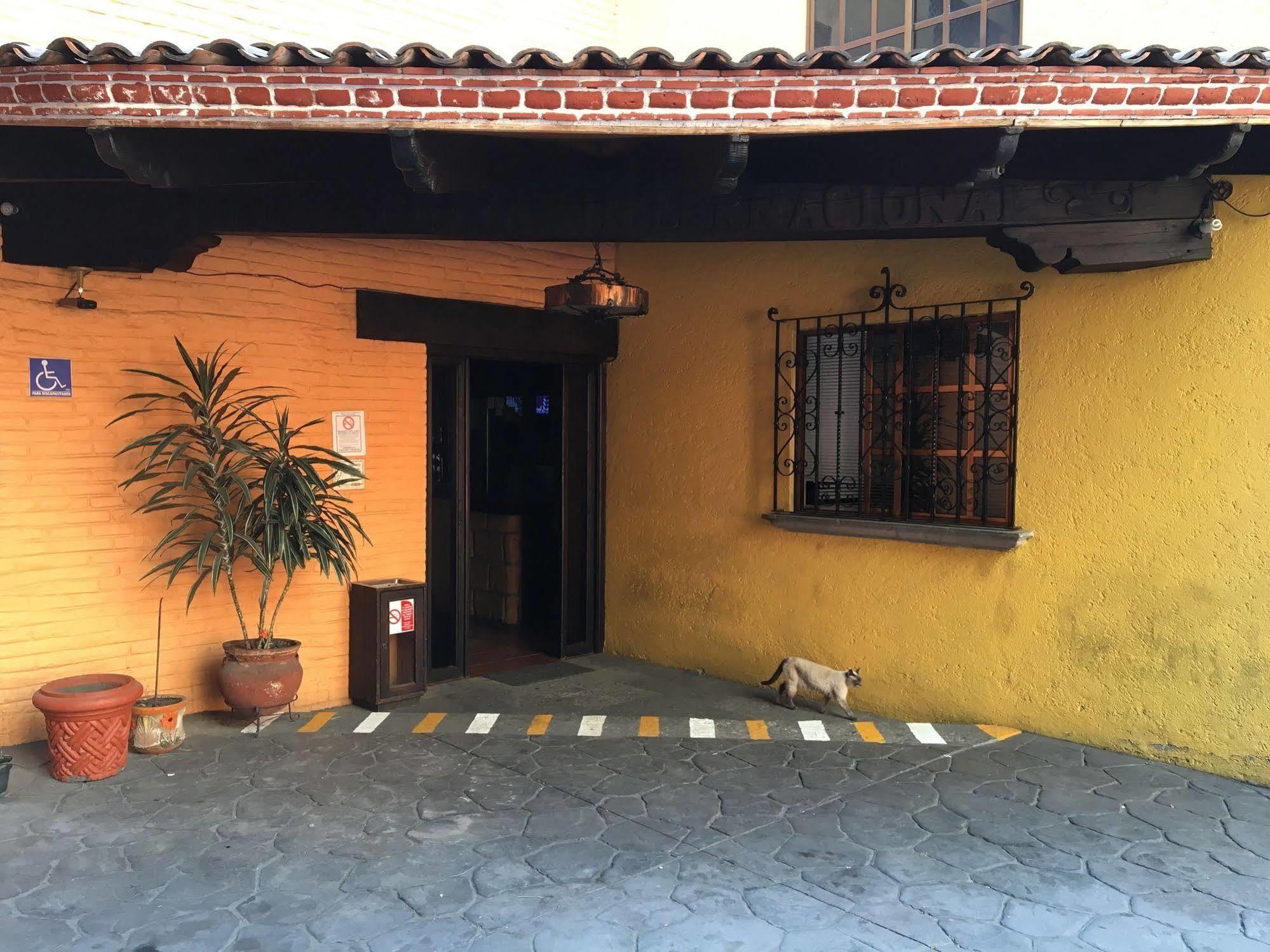 Hotel Playa Internacional Мехико Экстерьер фото